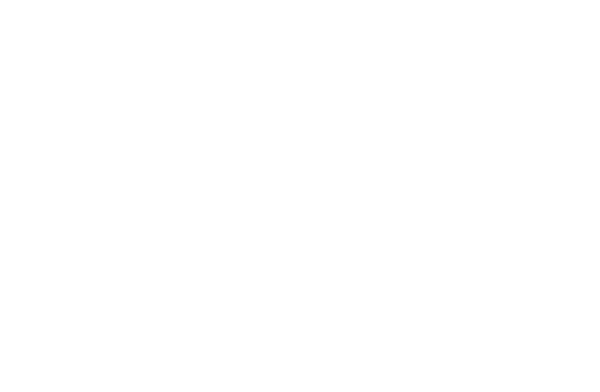 Almeida's Gatez